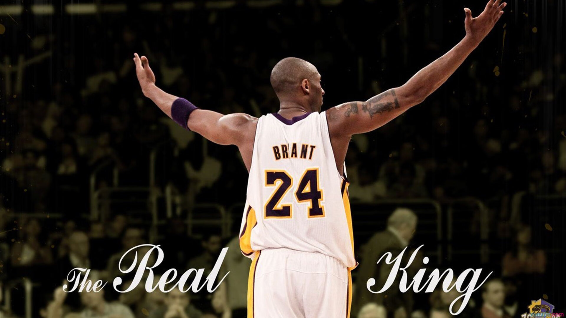 赛道上的北极风暴,挪威黑马撼动沙特F1年度争冠格局